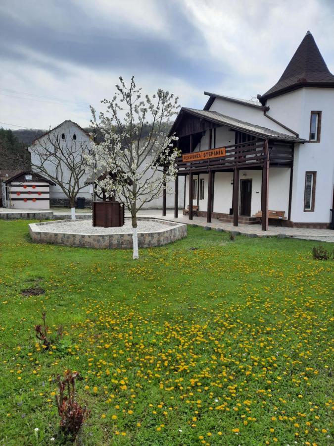 Pensiune Stefania Hunedoara Exterior foto